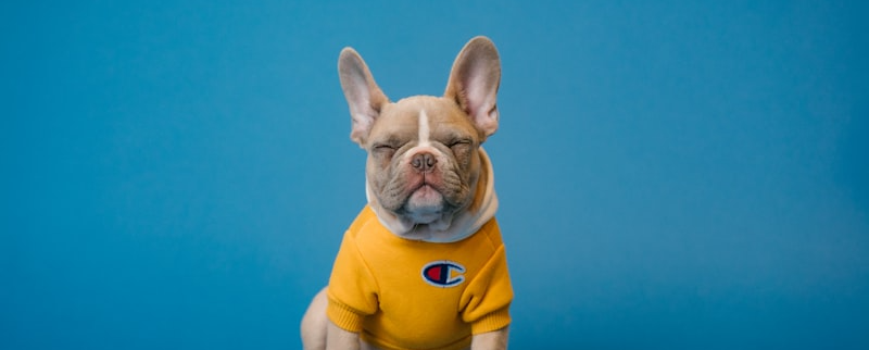 Pet Supplies