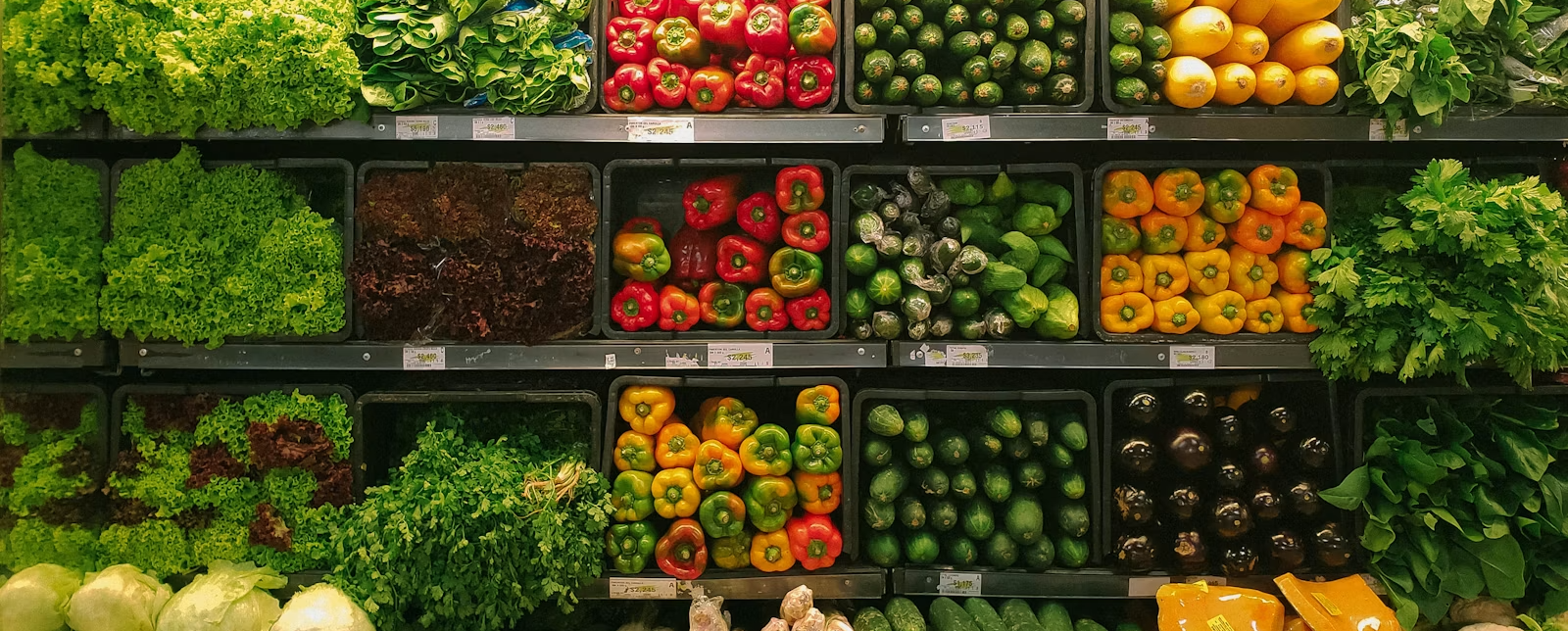 Grocery & Food